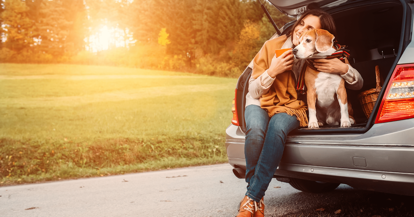 How Does ADAPTIL Transport Work, And When Should I Use it?